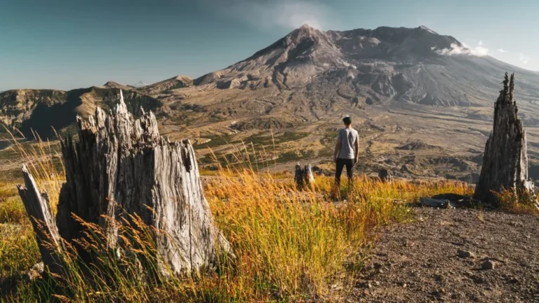 Les vérités choquantes de l&rsquo;éruption du Mont Saint Helens en 1980