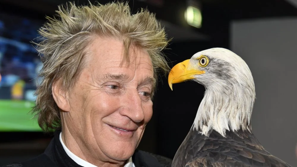 Rod Stewart : 26 ans pour construire son train miniature