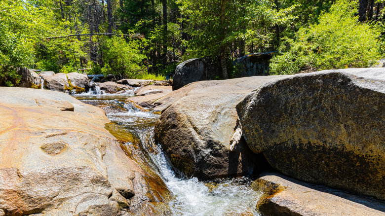 Ruisseau rocheux similaire à celui où Hughes a été découvert