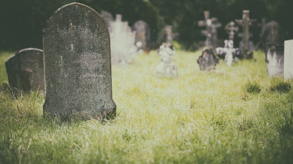 Dolly Parton a perdu son jeune frère Larry