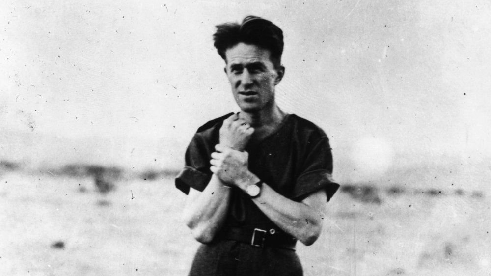 T. E. Lawrence, Lawrence of Arabia