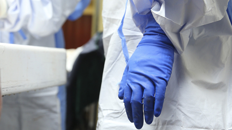 gants médicaux bleus pour traitement funéraire