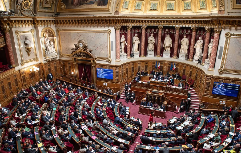 Interdiction des réseaux sociaux avant 15 ans : le Sénat valide le texte