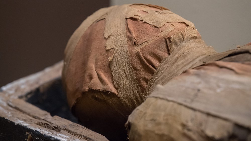 Site de sépulture égyptien avec momie et hiéroglyphes