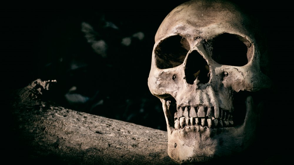 Crânes — ambiance inquiétante