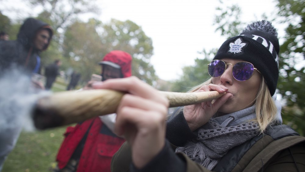 bars à cannabis lors des fêtes de bureau