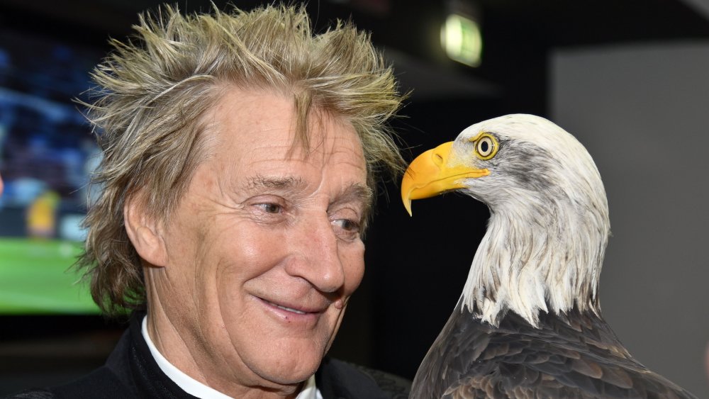 Rod Stewart et son modèle réduit de train