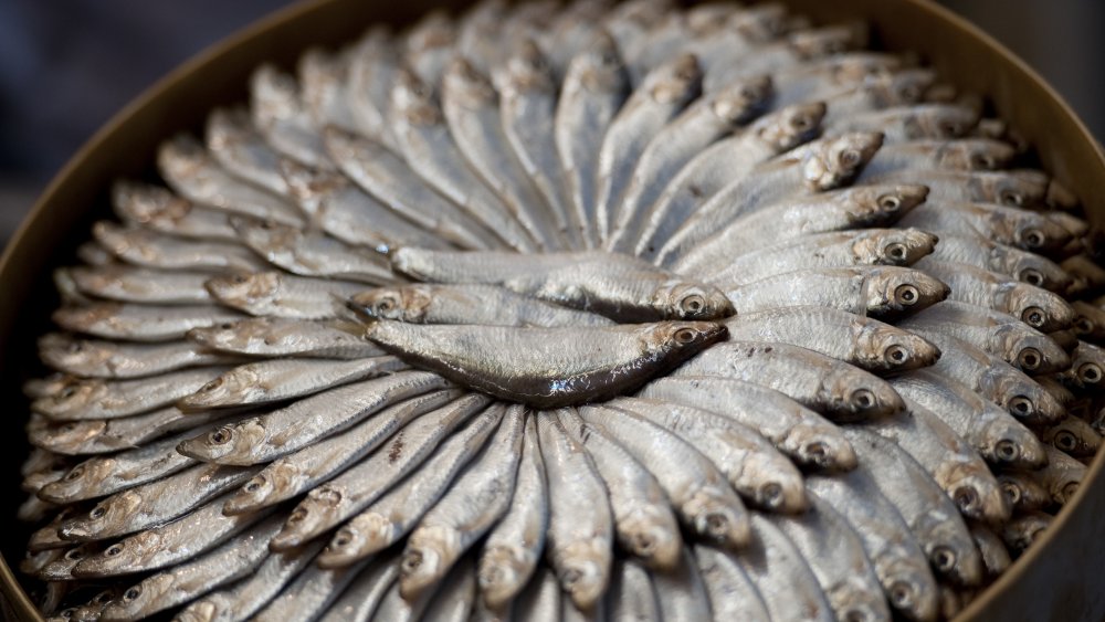 plus de poissons lents