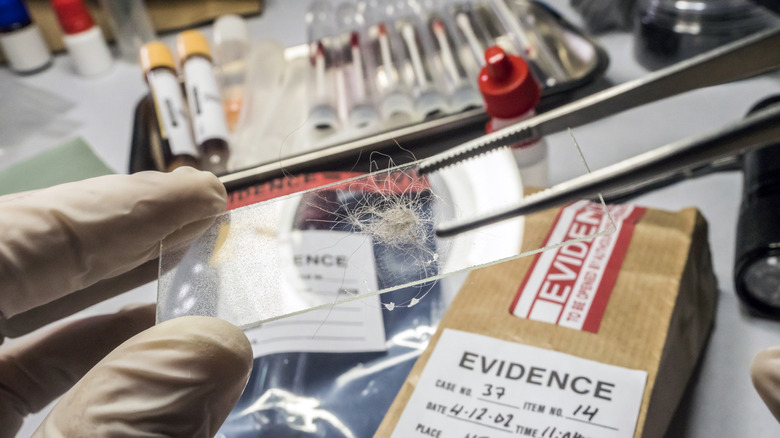 Tubes à essai contenant des preuves ADN d'une scène de crime