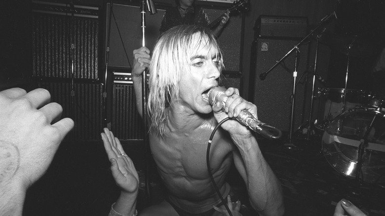 Iggy Pop en 1973