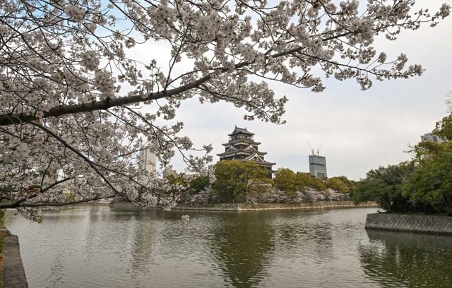 Château de Hiroshima entouré de cerisiers en fleurs