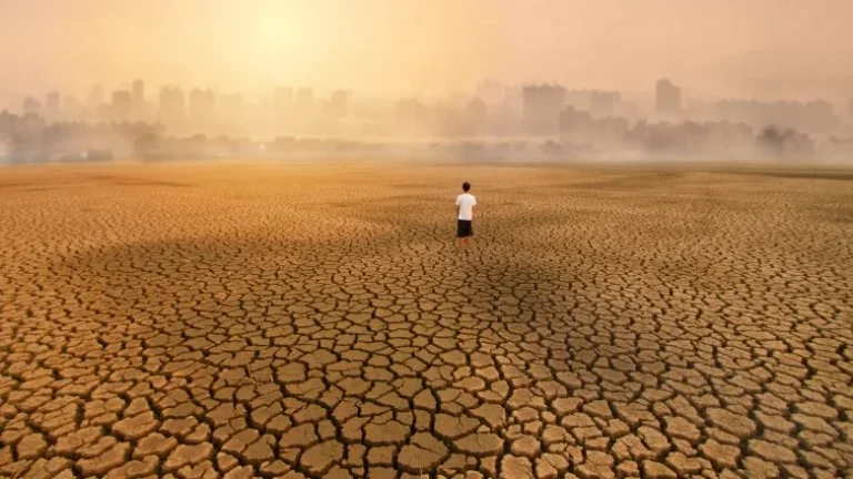 À quoi ressemblera la Terre dans 50 ans ?