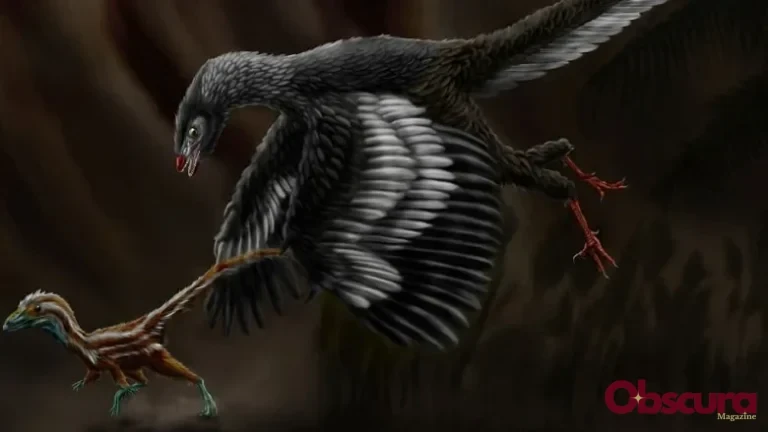 Découvertes de Fossiles de Dinosaure Parfaitement Préservés