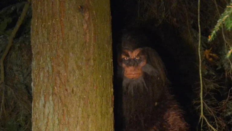 L&rsquo;Enquête du FBI sur Bigfoot : Ce Qu&rsquo;ils Ont Trouvé