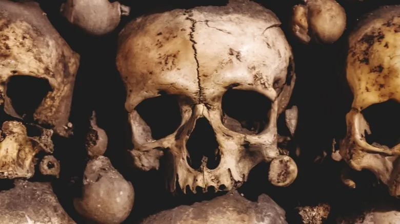 La Véritable Histoire du Museum of Death aux États-Unis