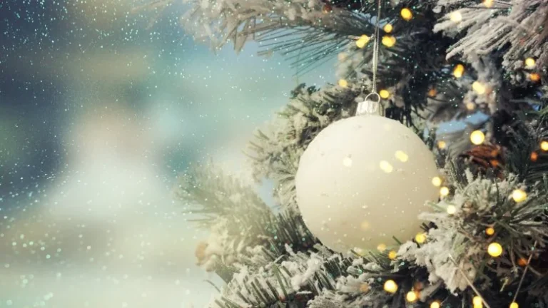 La véritable signification du sapin de Noël révélée