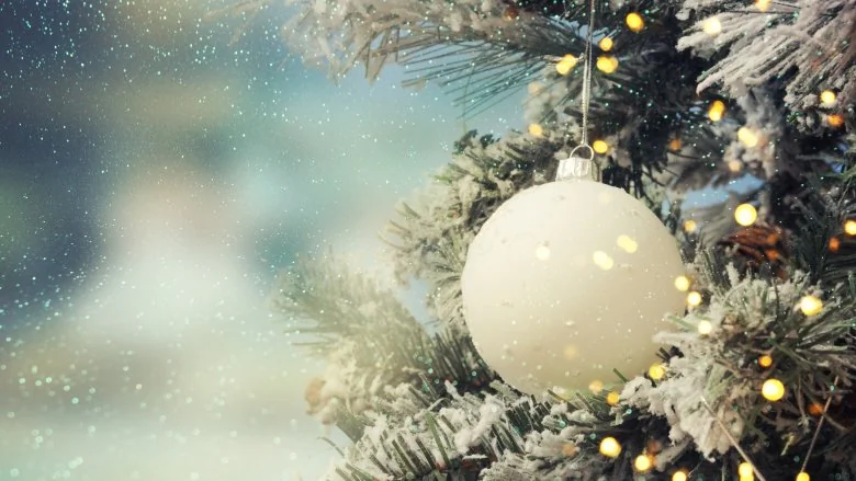 La véritable signification du sapin de Noël révélée