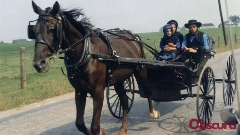 Les Amish et les Impôts : Une Réalité Complexe