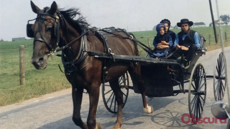 Les Amish et les Impôts : Une Réalité Complexe