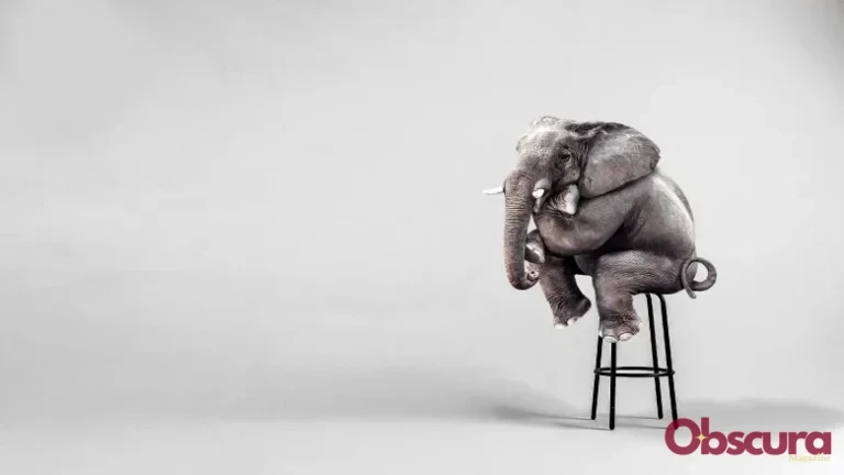 Les Éléphants Ont-ils Vraiment Peur des Souris ?