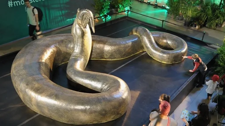 Les Mystères de l&rsquo;Extinction du Titanoboa