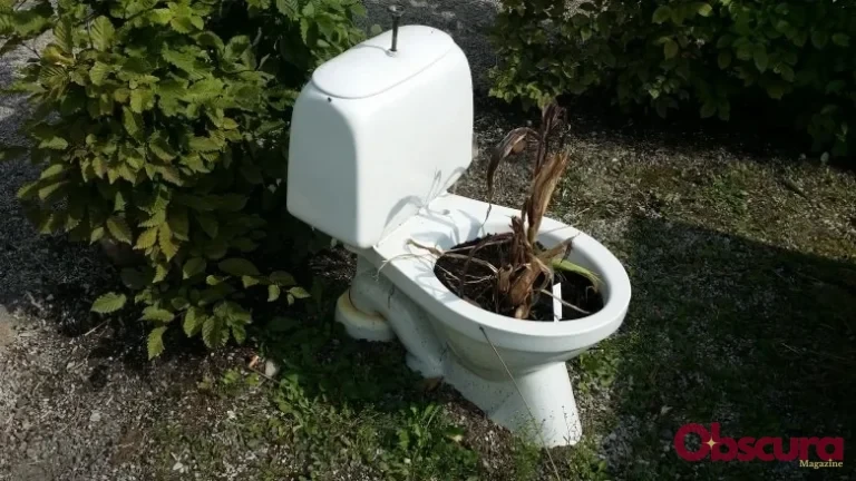 Les Plantes Font-elles Caca ? Décryptage Insensé