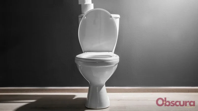 Les Toilettes Flushent-elles Différemment dans le Monde ?