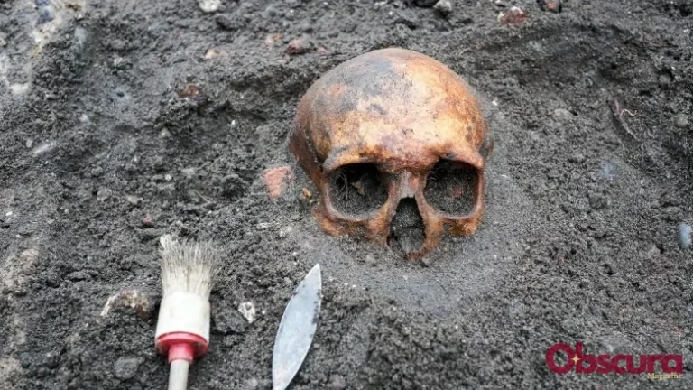 Les découvertes historiques les plus étonnantes de 2019