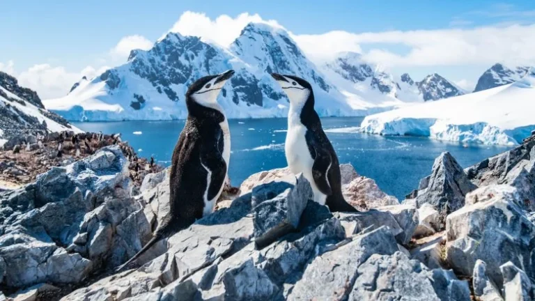 Pourquoi l&rsquo;Antarctique est-il si froid ?