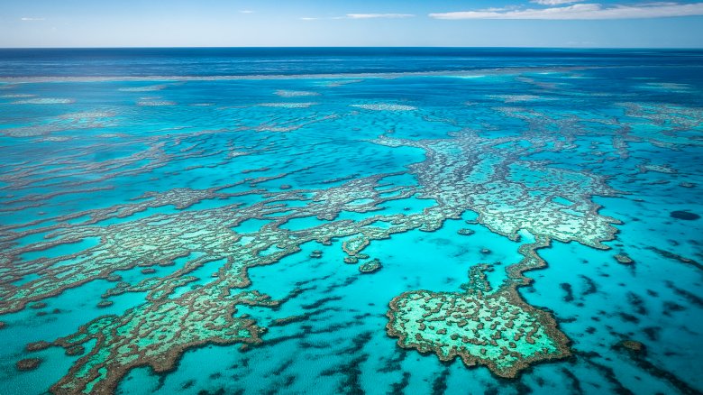 La Grande Barrière de corail