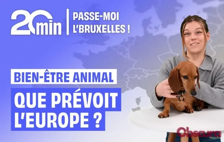 Bien-être animal : l&rsquo;UE légifère contre les dérives de l&rsquo;élevage