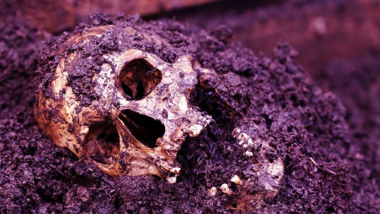 Body farm