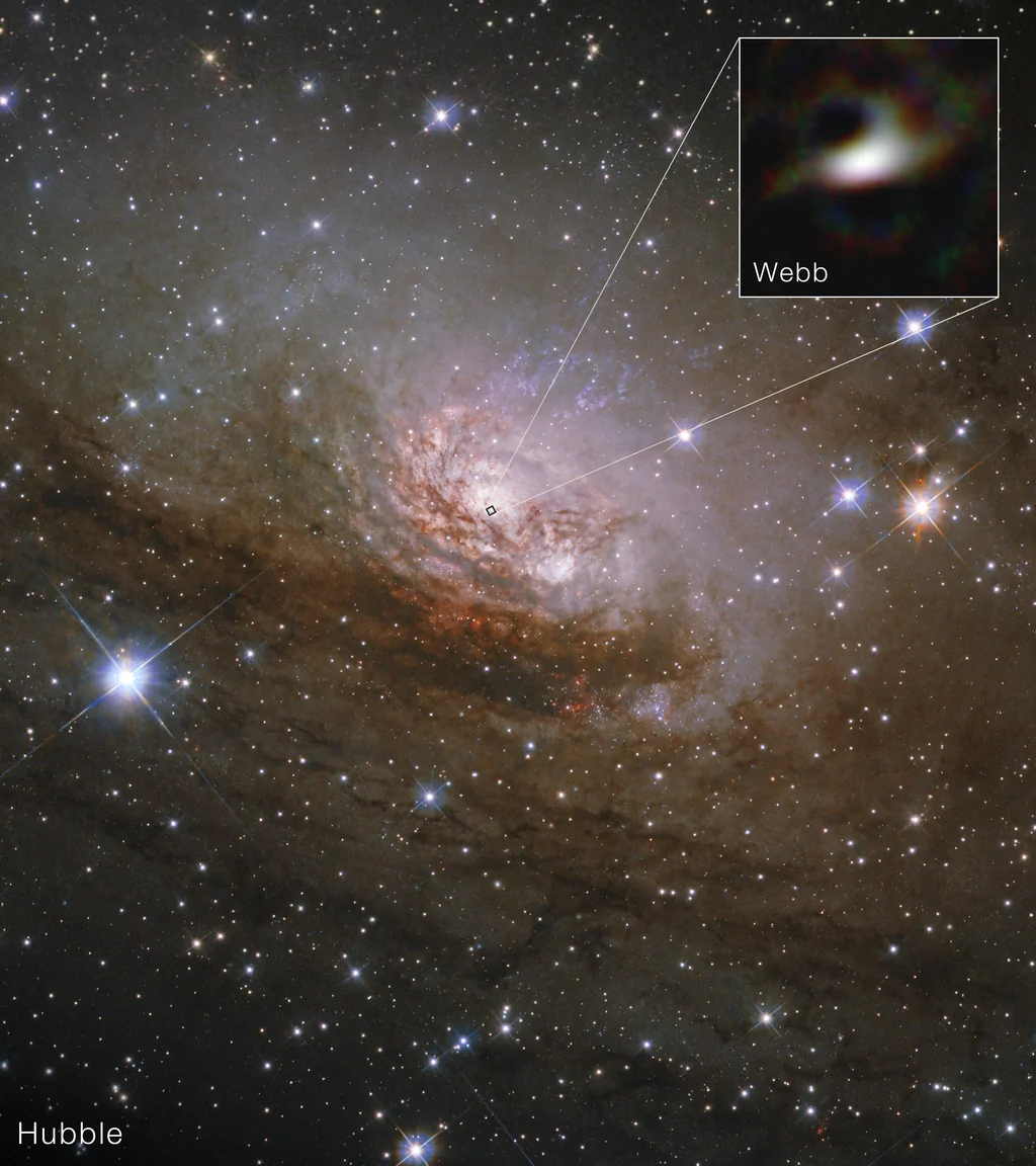 Vue combinée Hubble et Webb de la galaxie Circinus