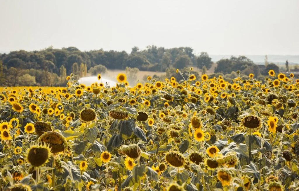 Climat : l'Europe se réchauffe deux fois plus vite que la moyenne