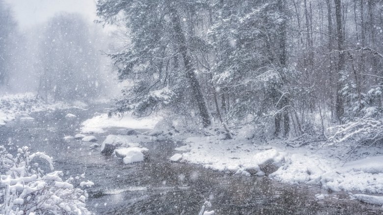 Tempête de neige