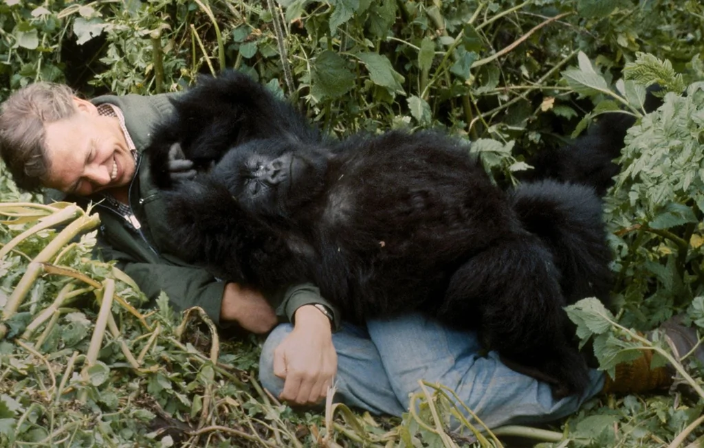 David Attenborough : les 100 ans d'une icône de la nature