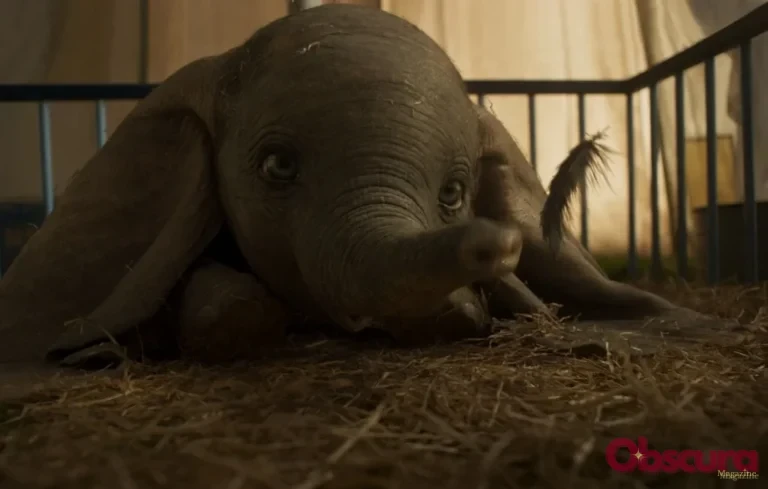 L&rsquo;histoire de l&rsquo;éléphant veillant un garde forestier est une infox
