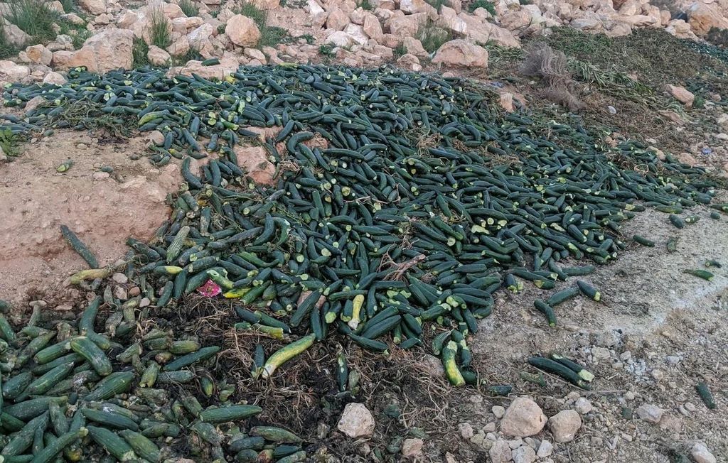 Espagne : des tonnes de fruits et légumes pourrissent par manque de rentabilité