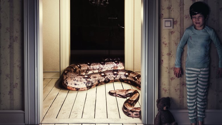 Snakes, serpents