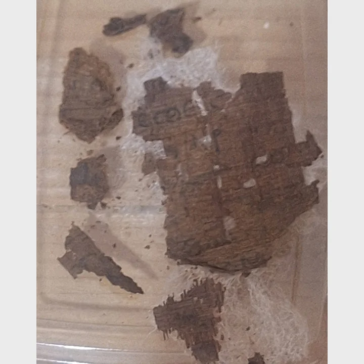 Fragments du papyrus liés à la découverte de l’Iliade à Oxyrhynque