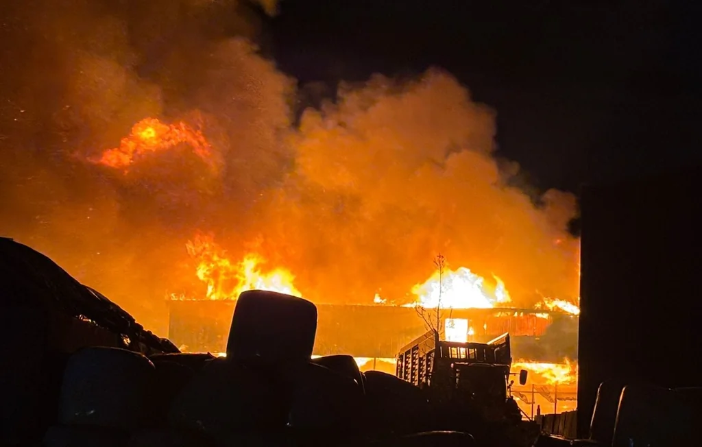 Incendies d'élevages en France : l'hécatombe invisible des animaux