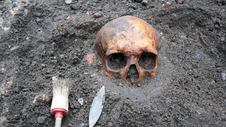 Archéologie, crâne, fouille