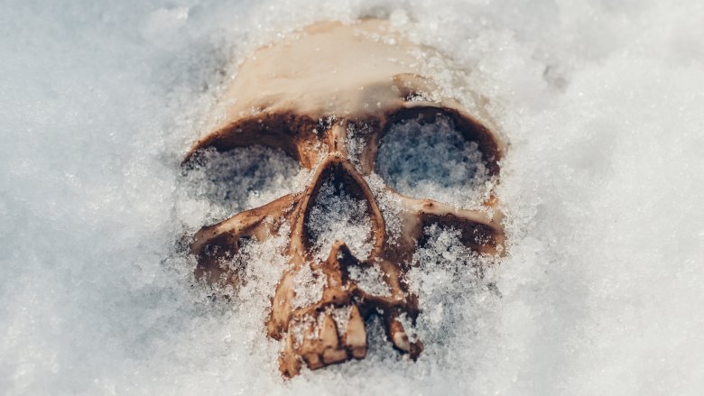 Crâne dans la neige