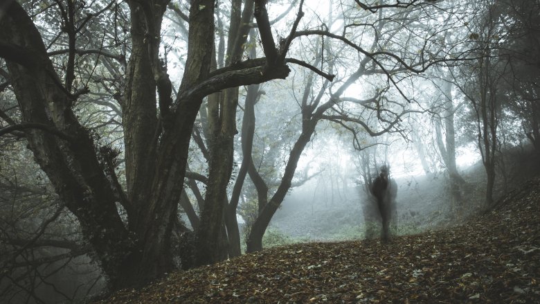 Fantôme dans les bois