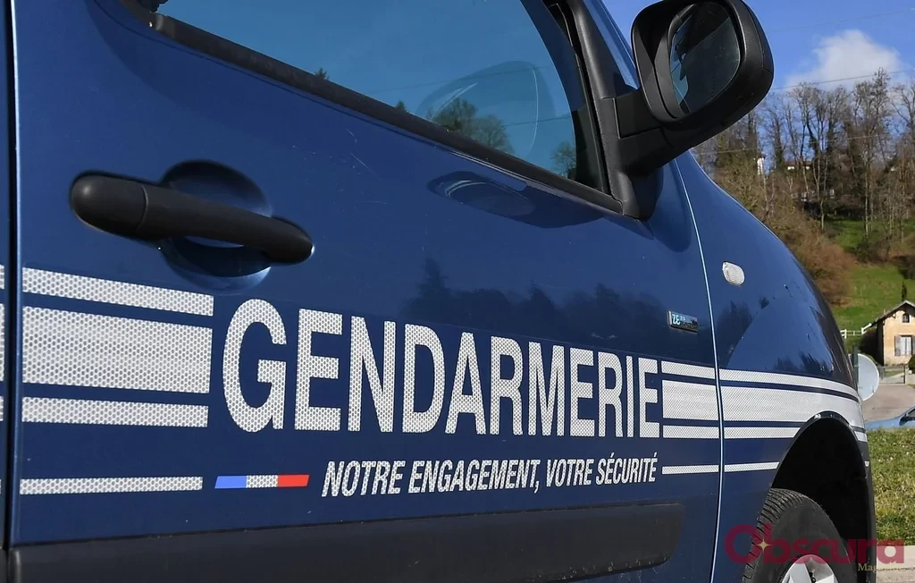 Lot : Saisie de fusils d'assaut et 11 kg de drogue à Souillac
