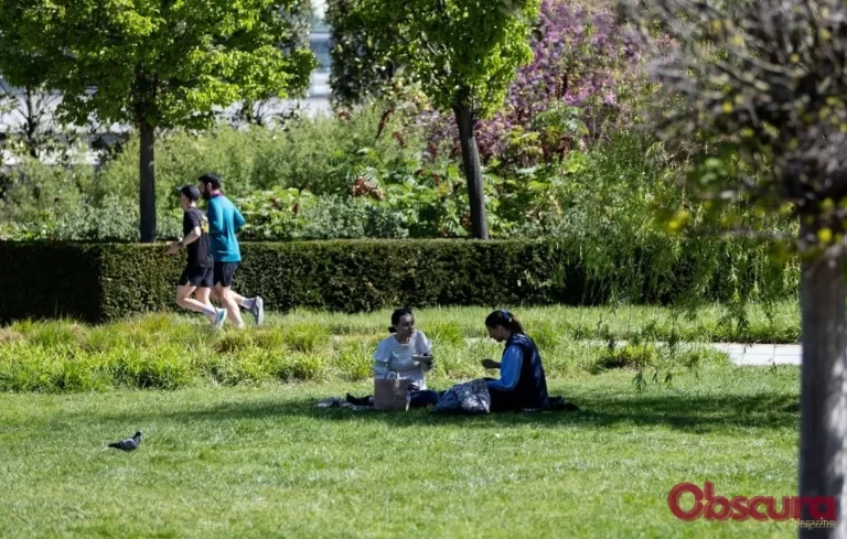 Météo : après le froid, un pic de chaleur à 30°C attendu en France