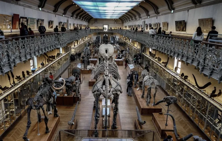 Muséum d’histoire naturelle : un état de délabrement catastrophique