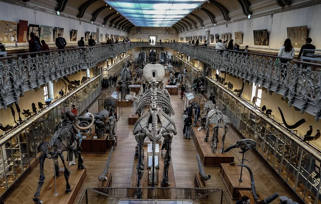 Muséum d’histoire naturelle : un état de délabrement catastrophique