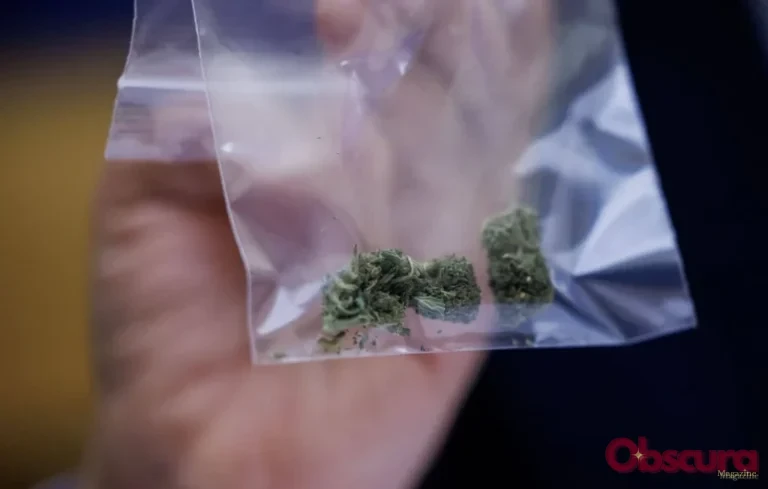 Nice : démantèlement d&rsquo;un réseau de drogue après une blessure par balle