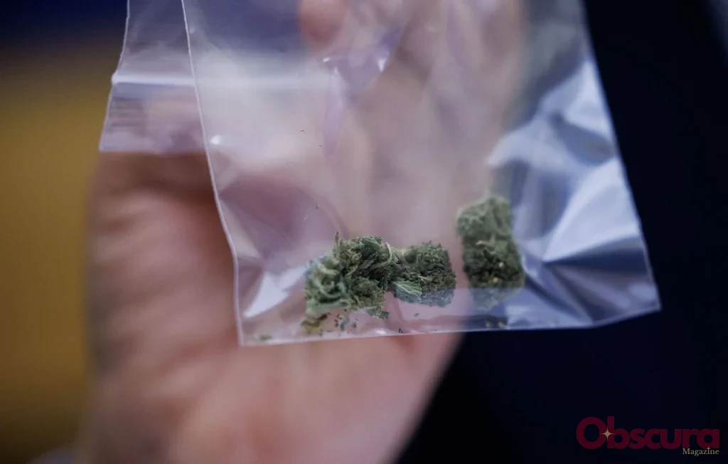 Nice : démantèlement d'un réseau de drogue après une blessure par balle